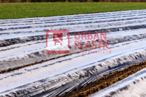 Harga Plastik Mulsa Merk Urban Plastic, Kelebihan dan Kekurangannya