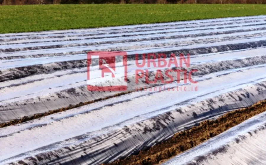 Harga Plastik Mulsa Merk Urban Plastic, Kelebihan dan Kekurangannya