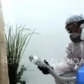 Tips Memilih Jasa Penyemprotan Disinfektan yang Tepat, Aman dan Terpercaya