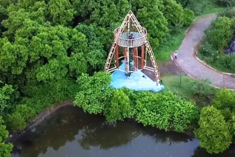 Menikmati Sejuknya Hutan Mangrove Gunung Anyar Surabaya
