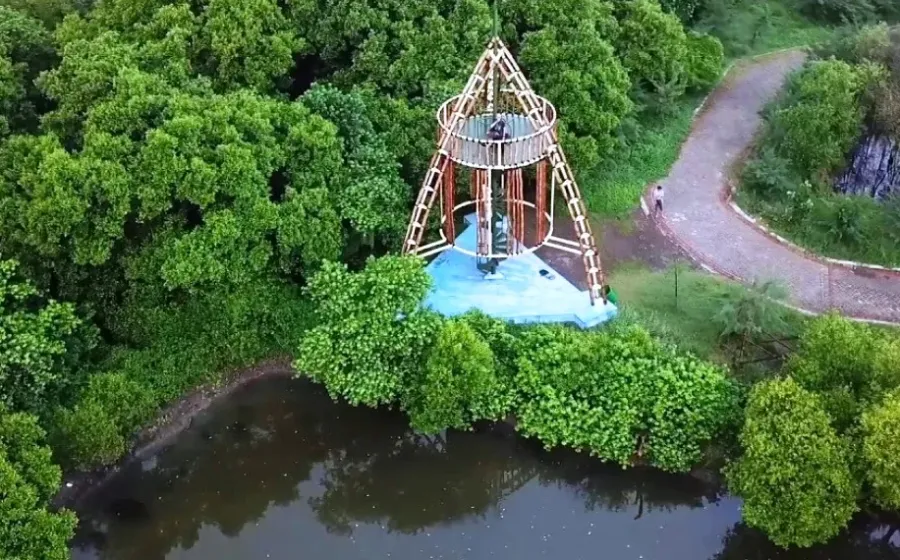 Menikmati Sejuknya Hutan Mangrove Gunung Anyar Surabaya
