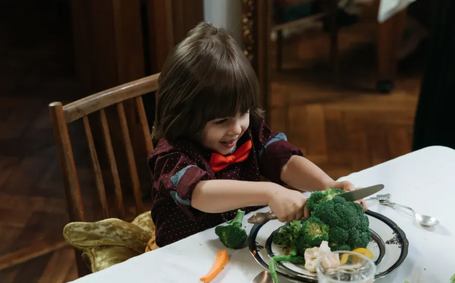 Cara membiasakan anak makan sayur dengan memberikan sajian makanan kreatif dan lezat