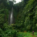 Trekking menyusuri sungai menuju wisata air terjun tersembunyi di kawasan Sentul Bogor