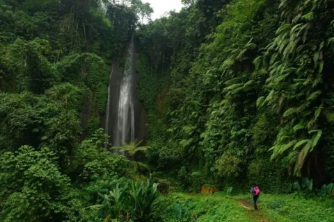 Trekking menyusuri sungai menuju wisata air terjun tersembunyi di kawasan Sentul Bogor