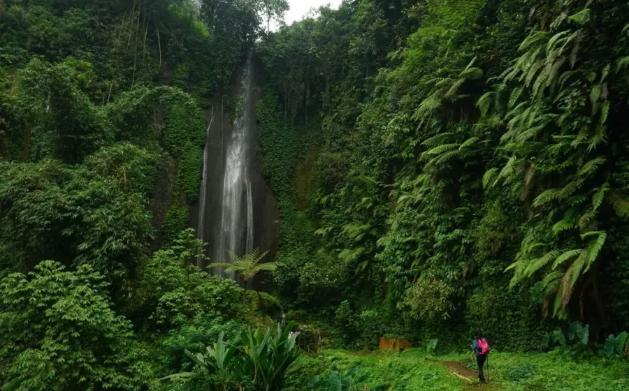 Trekking menyusuri sungai menuju wisata air terjun tersembunyi di kawasan Sentul Bogor