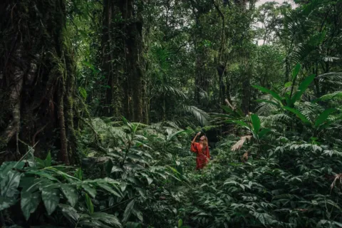 Panduan wisata alam tropis untuk persiapan trekking menembus hutan hujan yang lebat dan hijau