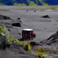 Pemandangan kebun teh dan pegunungan sejuk dengan iklim segar untuk lokasi wisata alam