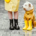 Gaya berpakaian musim hujan dengan jaket parasut dan sepatu sol karet anti slip