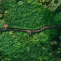 Jalur perbukitan hijau di Sentul Bogor yang cocok untuk panduan hiking pemula