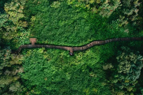 Jalur perbukitan hijau di Sentul Bogor yang cocok untuk panduan hiking pemula