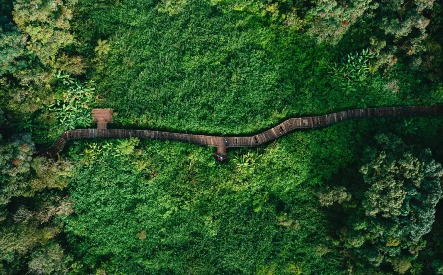 Jalur perbukitan hijau di Sentul Bogor yang cocok untuk panduan hiking pemula