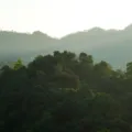 Pemandangan kabut fajar di perbukitan Bantul Yogyakarta yang menawan sesuai panduan wisata bukit aman