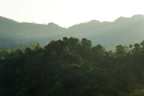 Pemandangan kabut fajar di perbukitan Bantul Yogyakarta yang menawan sesuai panduan wisata bukit aman