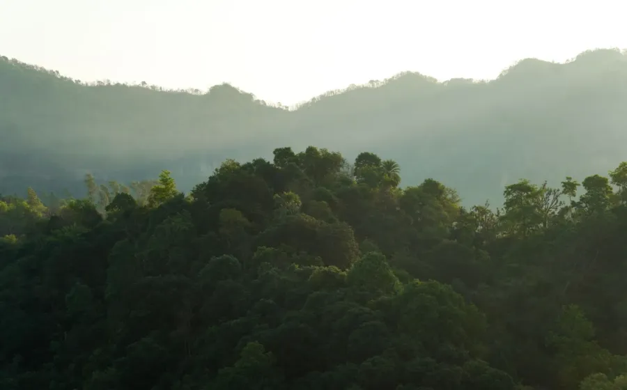 Pemandangan kabut fajar di perbukitan Bantul Yogyakarta yang menawan sesuai panduan wisata bukit aman